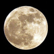 Illustration for article titled The Moon may have water on the surface, but its interior is completely parched